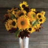 Johnny's Sunflower Collection -Garden Plant Shop 00872 01 sunflwrcollection