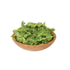 Clodia -Garden Plant Shop 0111 03 clodia