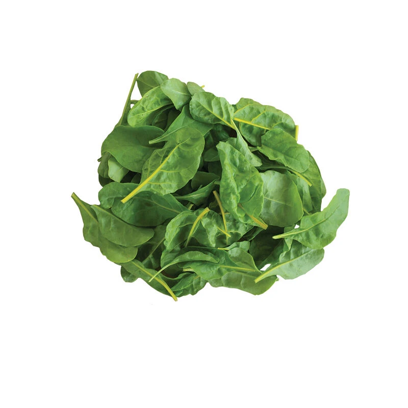 Bright Yellow 5 Bright Yellow - Image 3