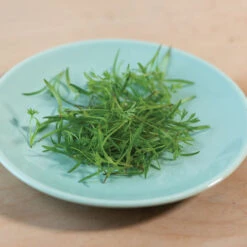 Carrot -Garden Plant Shop 02468m 03 o p carrot