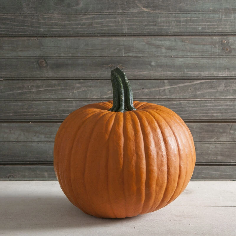 Racer Plus 3 Racer Plus