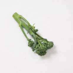 Happy Rich -Garden Plant Shop 02629 02 happyrich