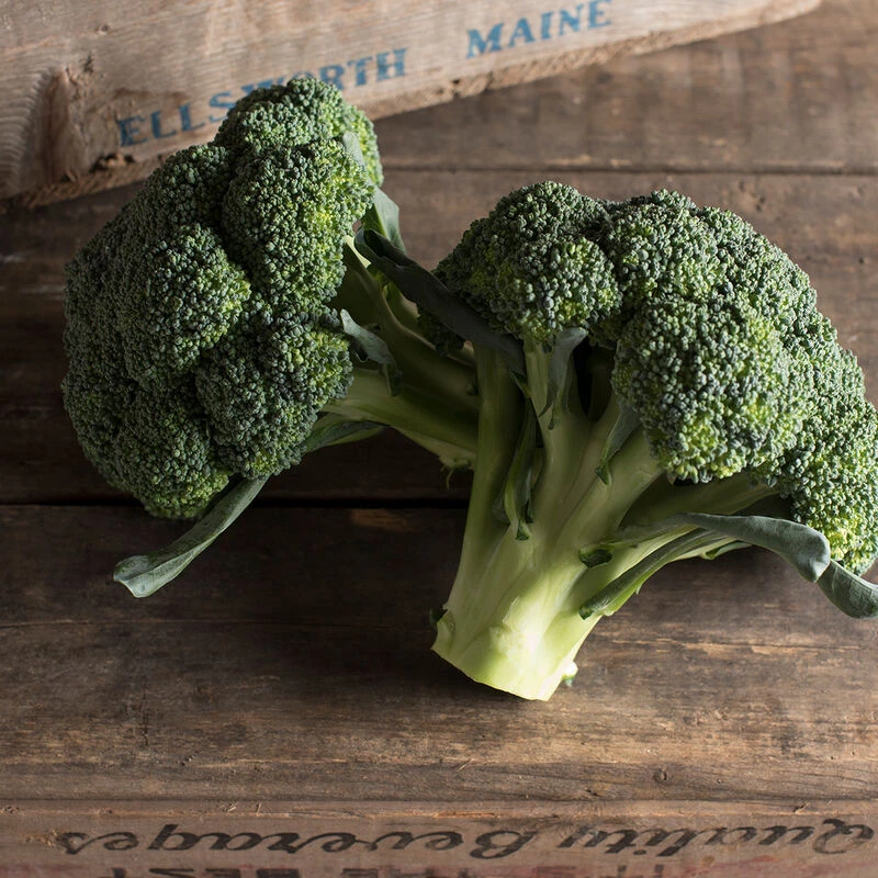 Amadeus 4 Amadeus - Image 2