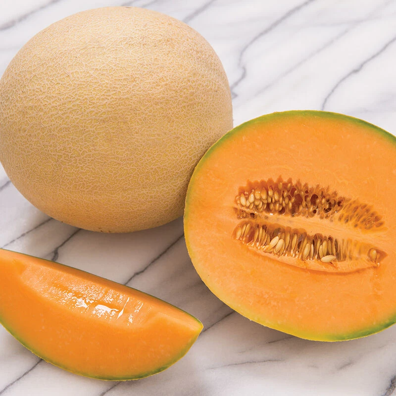 Sarah's Choice 4 Sarah's Choice - Image 2