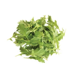 Mizuna -Garden Plant Shop 02883 03 mizuna