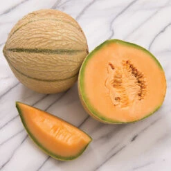 Escorial -Garden Plant Shop 03071 03 escorial