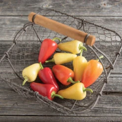 Havasu -Garden Plant Shop 03096 03 havasu