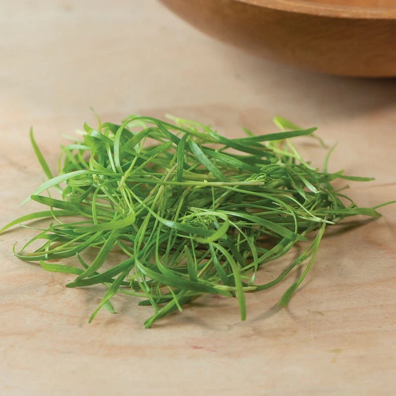 Fennel, Green 5 Fennel, Green - Image 3