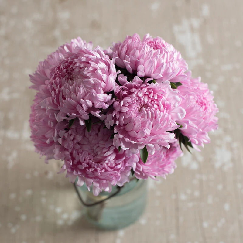 Tower Salmon 4 Tower Salmon - Image 2