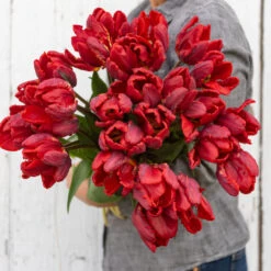 Rococo -Garden Plant Shop 03497 03 rococo