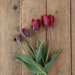 Rococo -Garden Plant Shop 03497 04 rococo