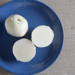 Beas -Garden Plant Shop 03527 02 beas