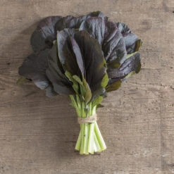 Red Kingdom -Garden Plant Shop 03748 02 redkingdom