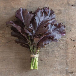 Miz America -Garden Plant Shop 03749 01 mizamerica