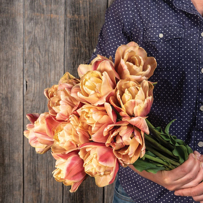 La Belle Epoque 8 La Belle Epoque - Image 6