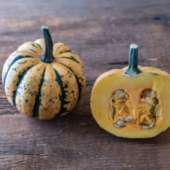 Honey Bun -Garden Plant Shop 04303 02 honey bun acorn squash