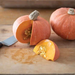 Marmalade 7 Marmalade -Garden Plant Shop 04424g 03 marmalade