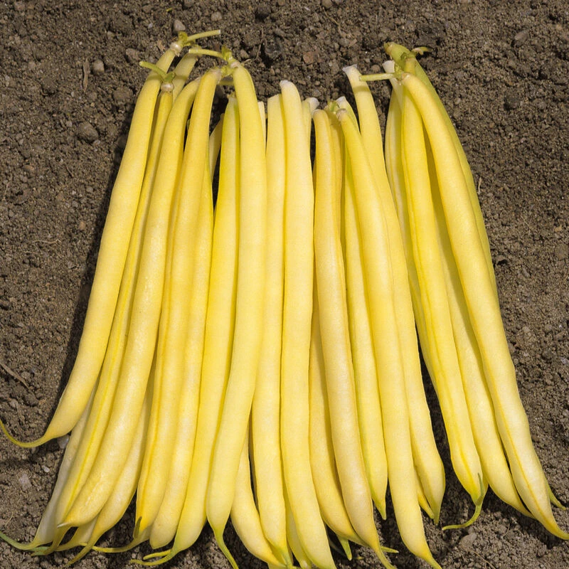 Borsalino 3 Borsalino