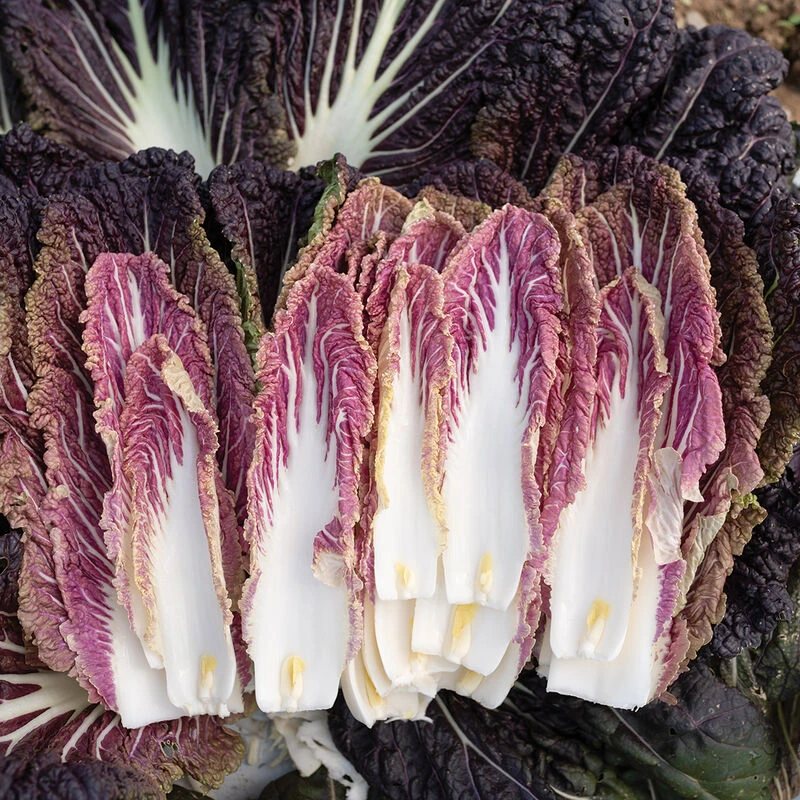 Miss Hong 4 Miss Hong - Image 2