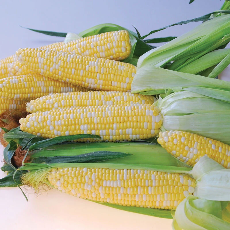 Quick Start 3 Quick Start