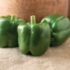 Autry -Garden Plant Shop 05025 01 aurty bell pepper