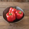 Sailfish -Garden Plant Shop 05030 01 sailfish bell pepper