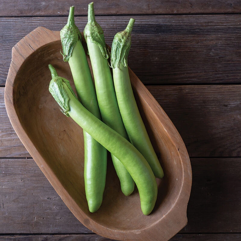 Summer Emerald 4 Summer Emerald - Image 2