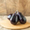 E-Tender -Garden Plant Shop 05156 01 e tender eggplant