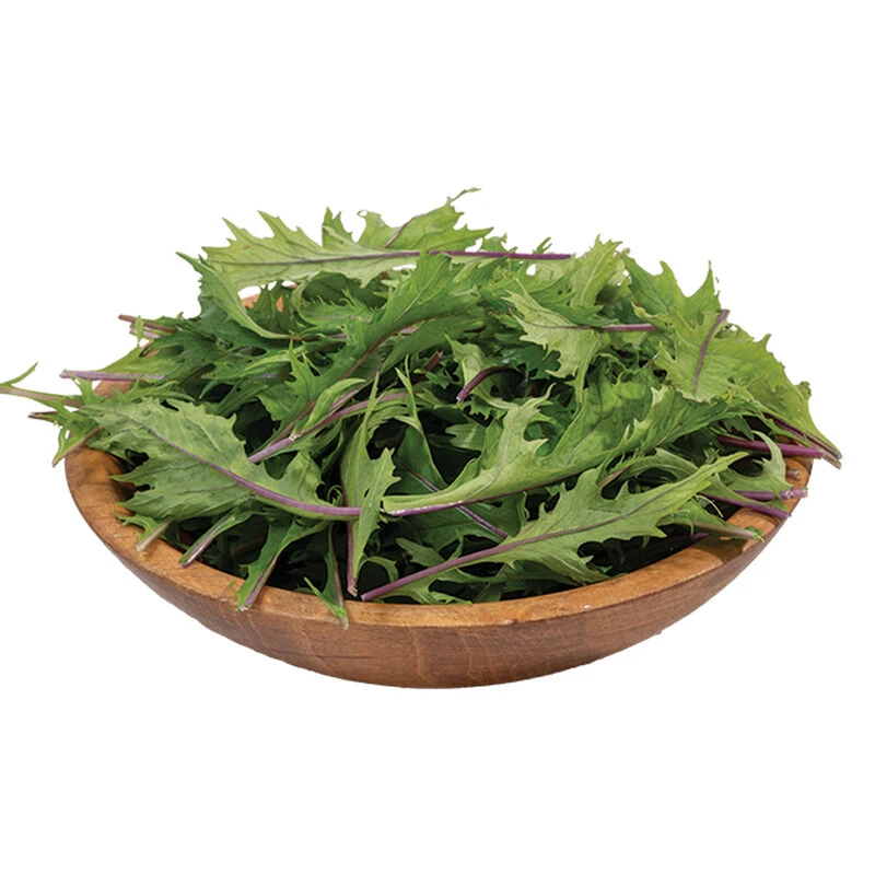 Ember 4 Ember - Image 2