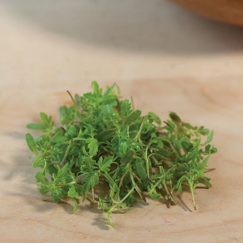 Marigold, Gem 6 Marigold, Gem - Image 4