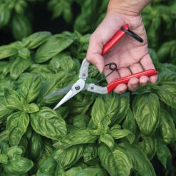 Johnny's Needle Nose Shears -Garden Plant Shop 06252 02 needle nose shears with leather case