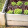 Raised Bed Drip Kit -Garden Plant Shop 06789 01 raisedbed dripkit