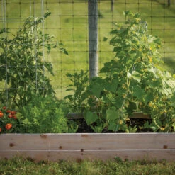 Cedar Raised Garden Bed – 3' X 6' -Garden Plant Shop 06798 02 cedarraisedbed