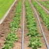Johnny's Drip Irrigation Kit – 500' -Garden Plant Shop 06981 01 drip kit