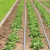 Johnny's Drip Irrigation Kit – 2,000' -Garden Plant Shop 06982 01 drip kit