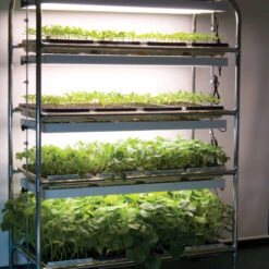 Full-Size Seedling Light Cart – 12 Trays, 384 Watts