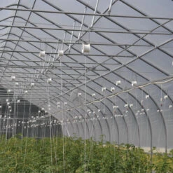 Rollerhook® – 25 Count -Garden Plant Shop 07047 02 rollerhookgreenhouse