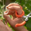 Hands-Free Pruning Shears – Stainless Steel -Garden Plant Shop 07275 01 handsfreepruningscissors