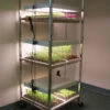Compact Seedling Light Cart – 6 Trays, 240 Watts -Garden Plant Shop 07296 01 compactsdlng light cart