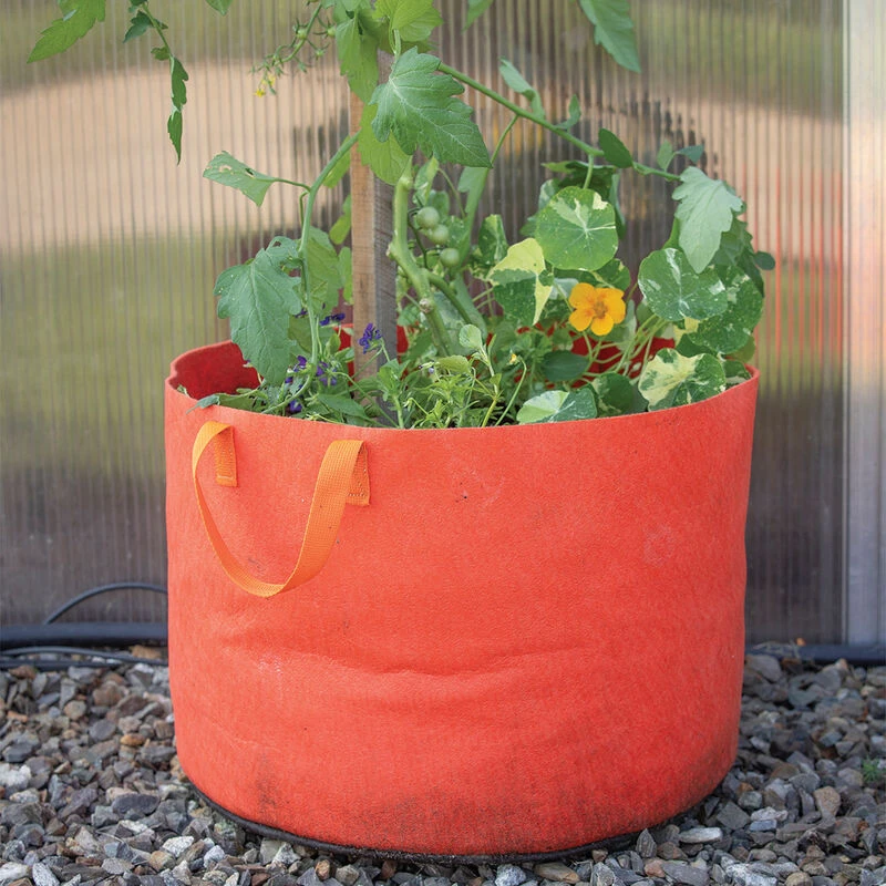 Smart Pot® Vivid Color, Mandarin Orange – 15 Gal. 4 Smart Pot® Vivid Color, Mandarin Orange – 15 Gal. - Image 2