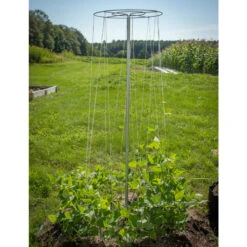 Bean Tower – 60" -Garden Plant Shop 07540 04 beantower