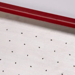 Seed Plate B264 -Garden Plant Shop 07658 02 b264