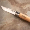 Opinel No. 10 Pocket Knife -Garden Plant Shop 07704 01 opinel 4in