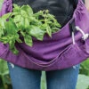 The Joey Apron® – Purple Orchid 1 The Joey Apron® – Purple Orchid -Garden Plant Shop 07731 01 joey apron purple
