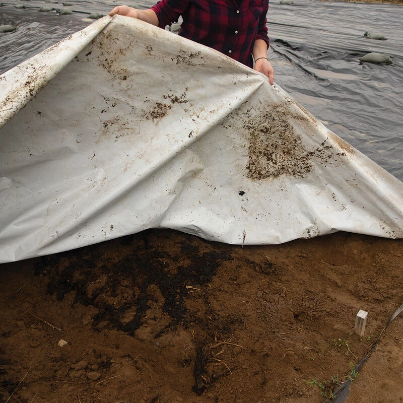 Silage Tarp – 50' X 100' 3 Silage Tarp – 50' X 100'