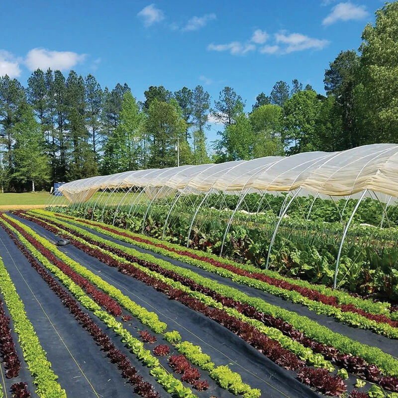 Sunbelt Black Ground Cover – 3' X 300' 3 Sunbelt Black Ground Cover – 3' X 300'