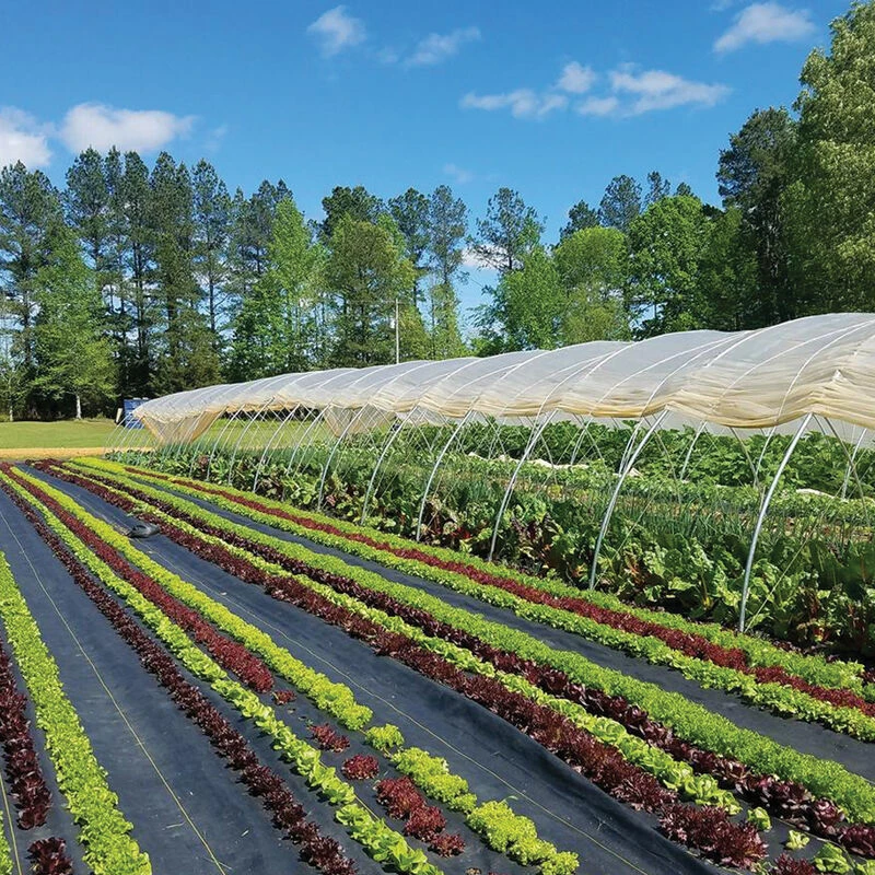 Sunbelt Black Ground Cover – 15' 6" X 300' 3 Sunbelt Black Ground Cover – 15' 6" X 300'