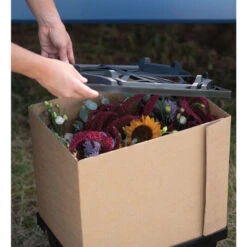 Valencia Lid -Garden Plant Shop 07931 04 valencialid