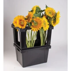 Valencia Topframe 7 Valencia Topframe -Garden Plant Shop 07934 03 valenciatopframe