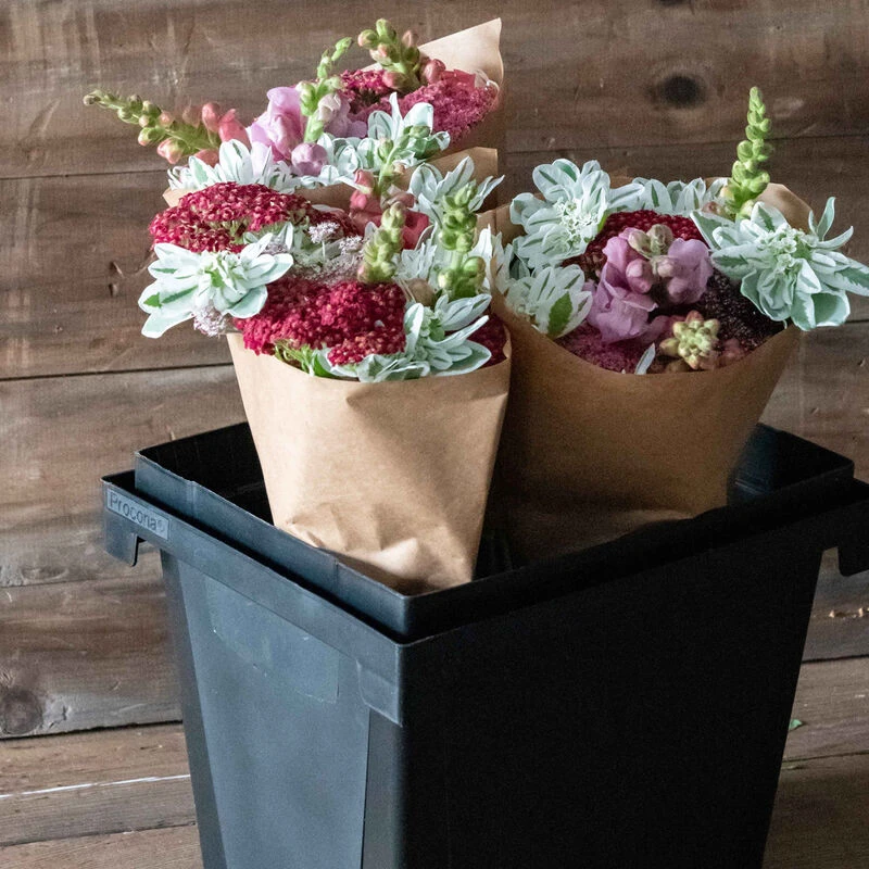 Florida Container – 25 Cm 4 Florida Container – 25 Cm - Image 2